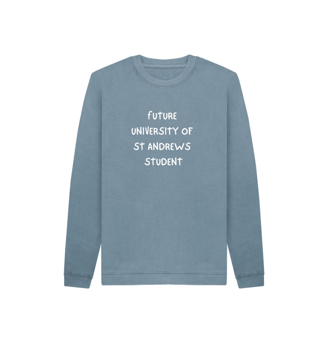 Stone Blue Future University student Sweater