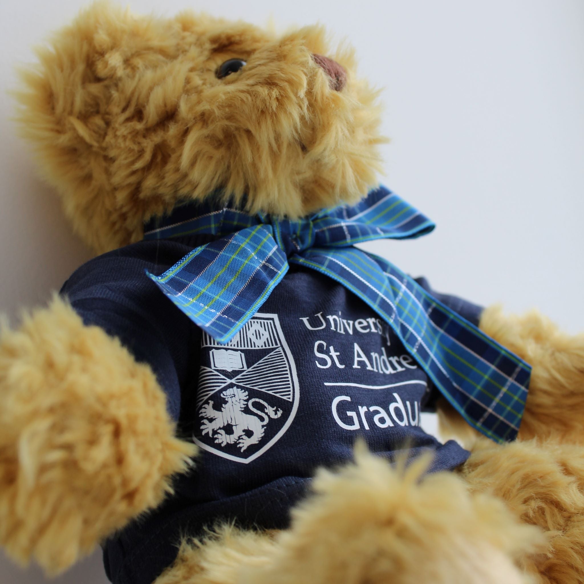 Graduate Bear