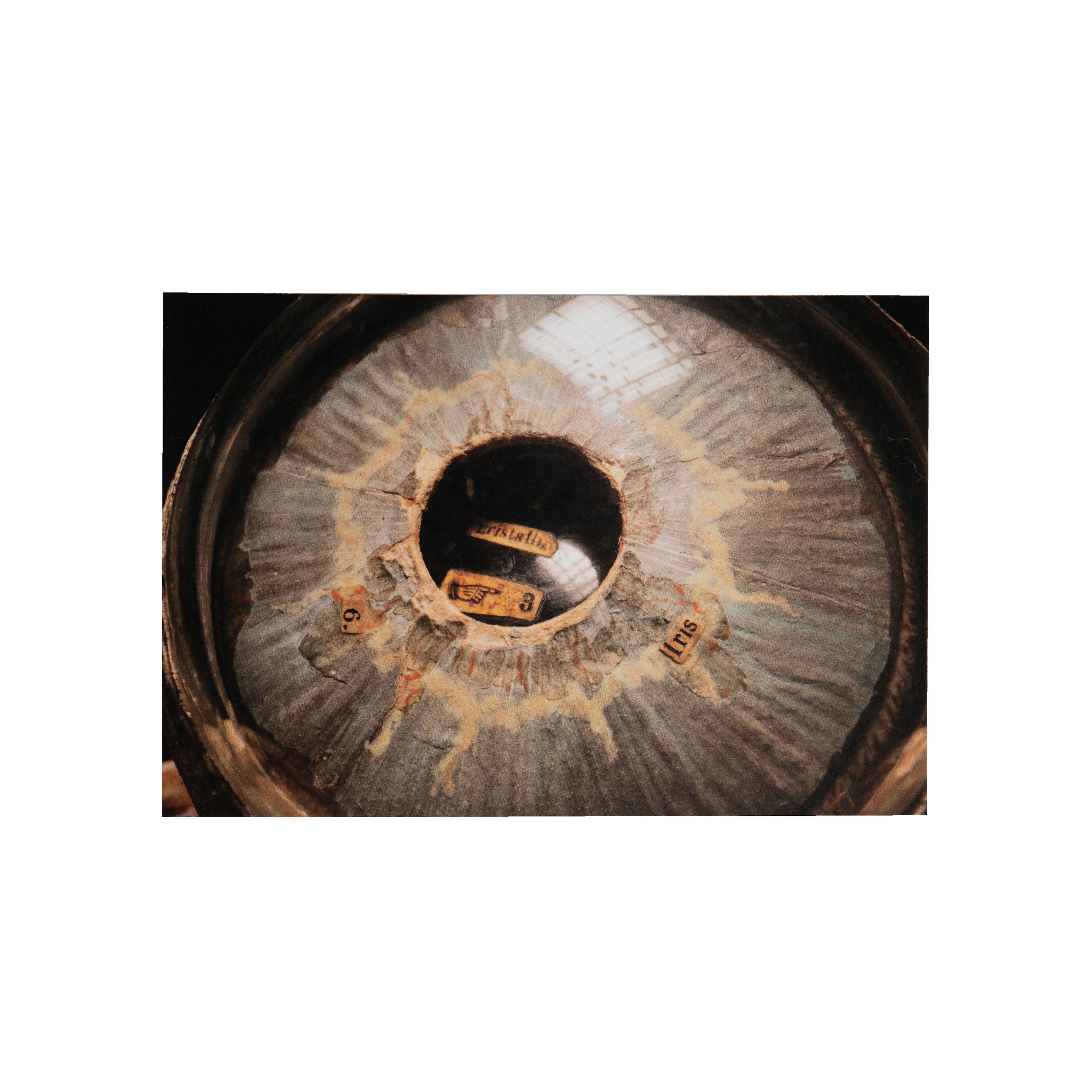 Human Eye - Large Postcard